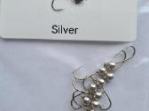 Silver - nuotraukos Nr. 11
