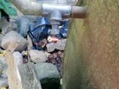Talpos skysciams po 145 Eur/vnt - nuotraukos Nr. 6