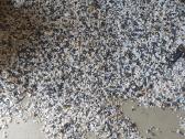Parduodu polistirolo granules - nuotraukos Nr. 3