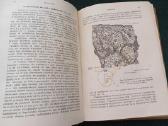 Sena knyga 1923 m. Ginekologija 404 p. 171 iliust. - nuotraukos Nr. 5
