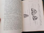 Sena knyga 1923 m. Ginekologija 404 p. 171 iliust. - nuotraukos Nr. 6