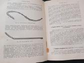Sena knyga 1923 m. Ginekologija 404 p. 171 iliust. - nuotraukos Nr. 7