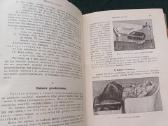 Sena knyga 1923 m. Ginekologija 404 p. 171 iliust. - nuotraukos Nr. 8