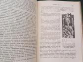 Sena knyga 1923 m. Ginekologija 404 p. 171 iliust. - nuotraukos Nr. 10