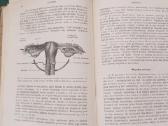 Sena knyga 1923 m. Ginekologija 404 p. 171 iliust. - nuotraukos Nr. 11