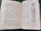 Sena knyga 1923 m. Ginekologija 404 p. 171 iliust. - nuotraukos Nr. 12