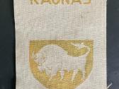 Gairelė -Kki Rankinio Futbolo Ledo Ritulio Katedra - nuotraukos Nr. 2