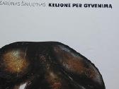 Šarūnas Šimulynas. Kelionė per gyvenimą