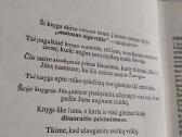 Jūsų kūdikis - nuotraukos Nr. 3