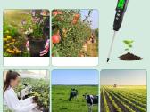Daug modelių! Dirvožemio Ph Ec drėgmės matuoklis - nuotraukos Nr. 16