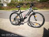 *Scott contessa*, Usa,ratai 26coliu.24-begiai.