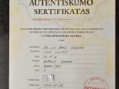 Parduodamas Eglės Colluci paveikslas - nuotraukos Nr. 3