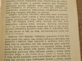 Bionika - nuotraukos Nr. 4