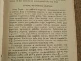 Bionika - nuotraukos Nr. 6