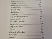 Kukis grįžta , aut jan svėrak - nuotraukos Nr. 5