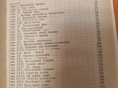 Raitelis be galvos rusu kalba - nuotraukos Nr. 3