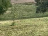 Parduodamas sklypas Peberžės sen. 30km nuo centro - nuotraukos Nr. 5