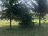 Parduodamas sklypas Peberžės sen. 30km nuo centro - nuotraukos Nr. 3
