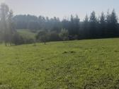 Parduodamas sklypas Peberžės sen. 30km nuo centro - nuotraukos Nr. 2