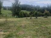 Parduodamas sklypas Peberžės sen. 30km nuo centro - nuotraukos Nr. 6