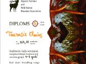 Taurieji elniai - nuotraukos Nr. 5