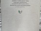 Himno istorija vaikams - nuotraukos Nr. 2