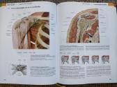 Prometheus Lernatlas der Anatomie - nuotraukos Nr. 6