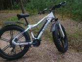 750w variklis 13 Ah 48 voltų baterija - nuotraukos Nr. 3