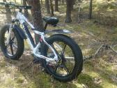 750w variklis 13 Ah 48 voltų baterija - nuotraukos Nr. 11