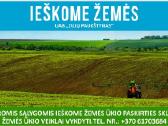 Geromis sąlygomis nuomojamės žemės sklypus