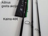 Karpiniai kotai-pasirinkimas - nuotraukos Nr. 11
