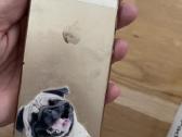 iPad + iPhone - nuotraukos Nr. 5