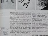 Žurnalas Dailė 25 ,1985 m - nuotraukos Nr. 13