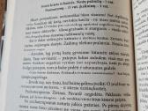 Sexy time su Mona arba 100 pasimatymų iki vestuvių - nuotraukos Nr. 5