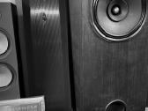 Magnepan Lrs+ Little Ribbon Speaker magnetoplanara - nuotraukos Nr. 8