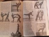 Kovos menai vakar ir šiandien Kempo Кэмпо - nuotraukos Nr. 3