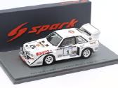 Audi Sport Quattro S1 M.mouton