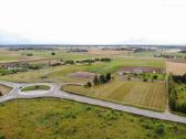 Bulvės,svogūnai,burokėliai iš mažo šeimos ūkio - nuotraukos Nr. 7