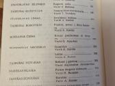 Lenkų novelės - nuotraukos Nr. 4