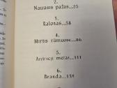 Liūtės daina - nuotraukos Nr. 3
