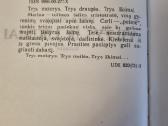 Viltys ir likimai - nuotraukos Nr. 3