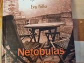 Netobulas vyras