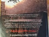 Netobulas vyras - nuotraukos Nr. 3