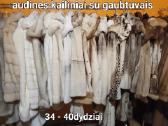 Audines kailiniai - nuotraukos Nr. 22