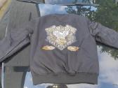 Harley davidson S/m d. Baikerio striuke