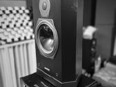 Tannoy Sixes 6 607 bookshelf koloneles - nuotraukos Nr. 38