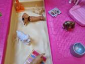 Barbie šuniukų mašina - nuotraukos Nr. 15