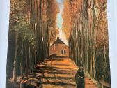 Knyga Van Gogh darbu - nuotraukos Nr. 3
