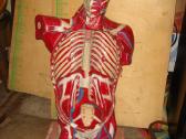 Tarybiniu laiku
