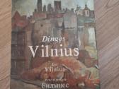 Dingęs Vilnius - nuotraukos Nr. 5